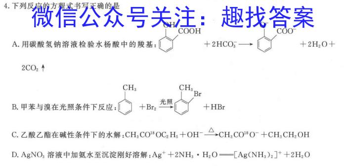 河北省2023-2024学年第二学期高二期末调研考试(乐符)化学