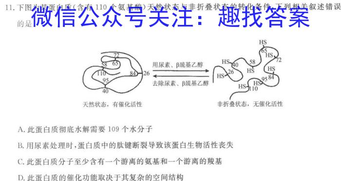 江西省2024年高考模拟考试试卷(2024.5)生物学试题答案