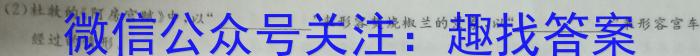 湖湘名校教育联合体2024年下学期高二10月联考语文