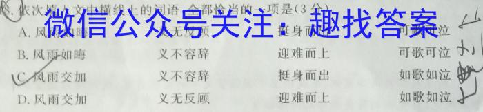 广西钦州市示范性高中2024-2025学年度秋季学期高三开学考试语文