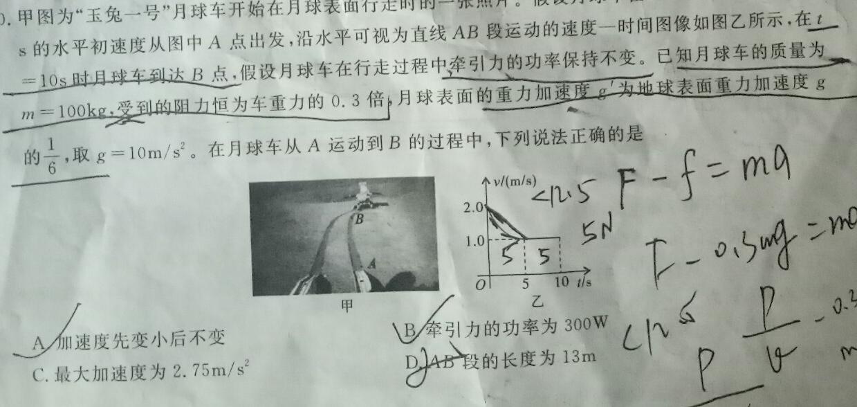 2024年湖北省五市州高一期末联考(2024.7)(物理)试卷答案