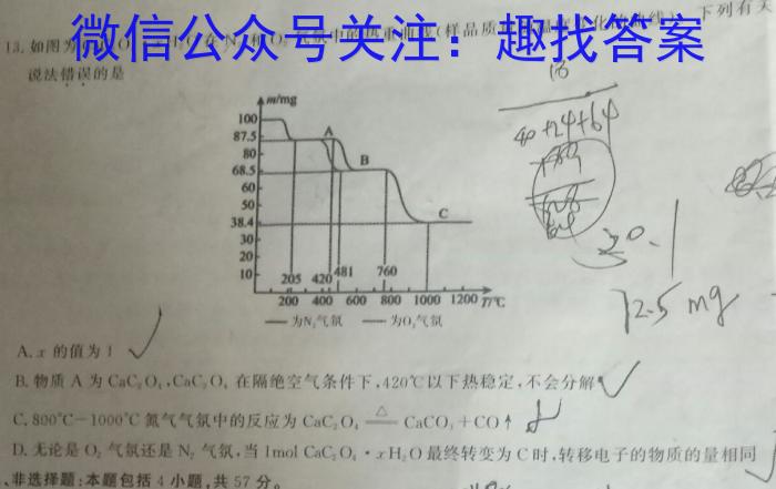 陕西省商州区2024年初中学业水平模拟考试(一)化学