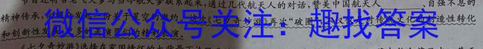 2024年安徽省C20教育联盟中考二模语文