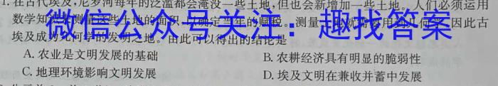 2024年长安区高三第一次模拟考试历史试题答案