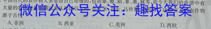 ［濮阳一模］濮阳市2024年高三年级第一次模拟考试历史试卷答案