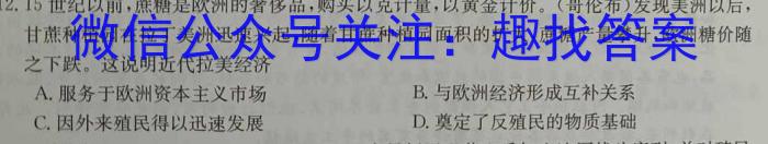 湖南省2024年名校初中模拟检测考试试卷（一）历史试卷答案