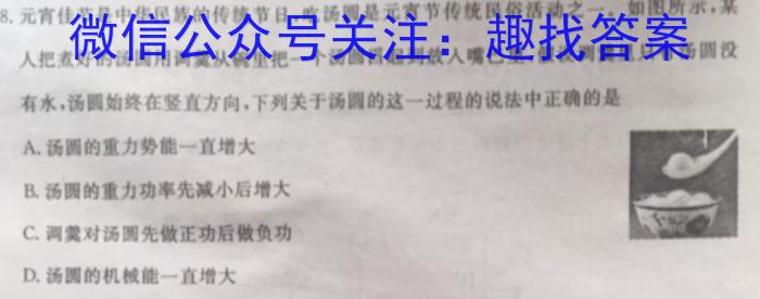 安徽省2023-2024学年第二学期八年级阶段巩固练习物理试卷答案