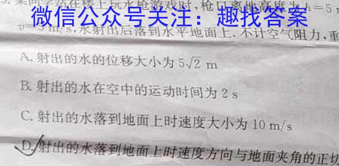 炎德英才大联考·湖南师大附中2025届高三月考试卷（一）物理试卷答案