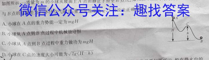 安徽省2024年中考模拟示范卷 AH(二)物理