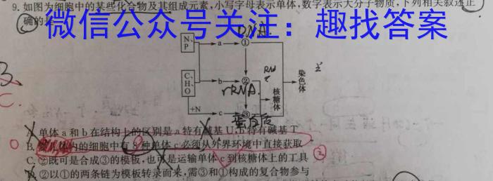 2024年陕西省初中学业水平考试信心提升卷生物学试题答案