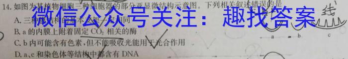 四川省2023~2024学年度下期高中2023级期末联考生物学试题答案