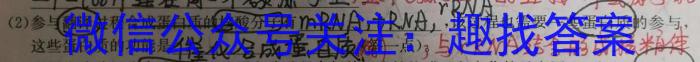 1号卷A10联盟2024年高三4月考试生物学试题答案