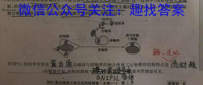 江苏省南通市2024届高三第二次调研测试生物学试题答案