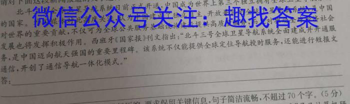 甘肃省天水市麦积区某校2024-2025学年第一学期九年级暑期测试卷语文