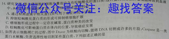 2024年河北省初中毕业生升学文化课考试 麒麟卷(二)2生物学试题答案