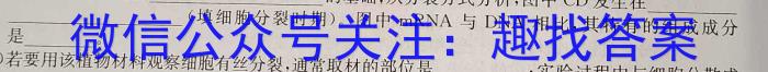 安徽省2025届九年级练习一(10月)生物学试题答案