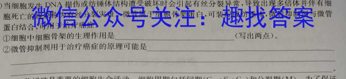 山西省2023~2024学年高二5月质量检测卷(242755D)生物学试题答案