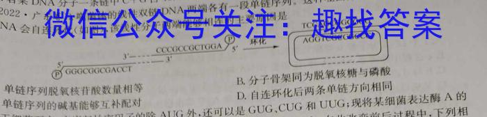 山西省2024年中考模拟示范卷 SHX(二)2生物学试题答案