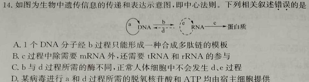 2024-2025学年安徽省八年级上学期开学摸底调研生物