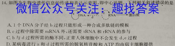 ［资阳二诊］资阳市2024届高中毕业班第二次诊断性考试生物