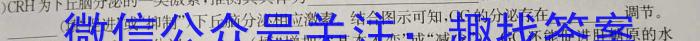 山西省2023-2024学年第二学期高中新课程模块考试试题（卷）高一生物学试题答案