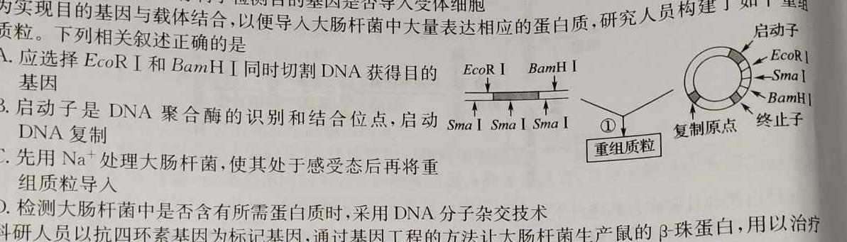 河南省2023-2024学年高一下学期第一次月考(377A)生物学