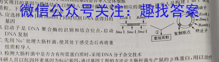 广西省2024年秋季学期高二入学检测卷生物学试题答案