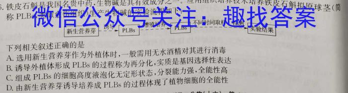 九师联盟 2024~2025学年高三9月质量检测卷(25-X-026C)生物学试题答案