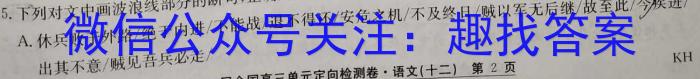 2023-2024学年陕西省高一质量检测(▲)/语文