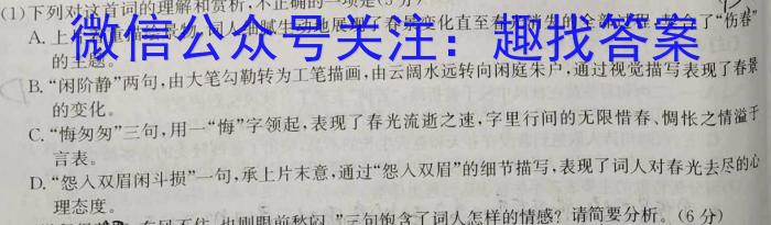 江淮名卷2024年省城名校中考调研(一)语文