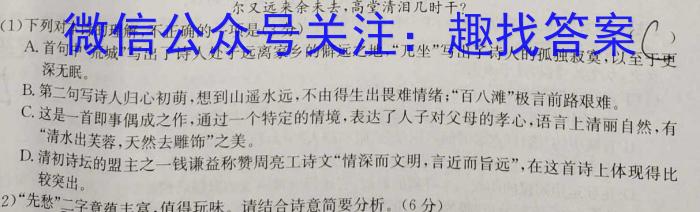 2024考前信息卷·第八辑 重点中学、教育强区 考前押题信息卷(四)4语文