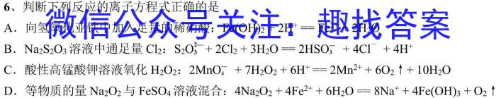 q湖南省2024年初中学业水平考试模拟试卷化学