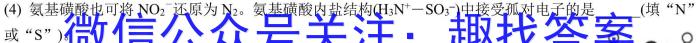 2024年河南省普通高中招生考试抢分金卷化学