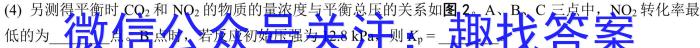 3天宏大联考2024年河南省中招第一次模拟考试试卷化学试题