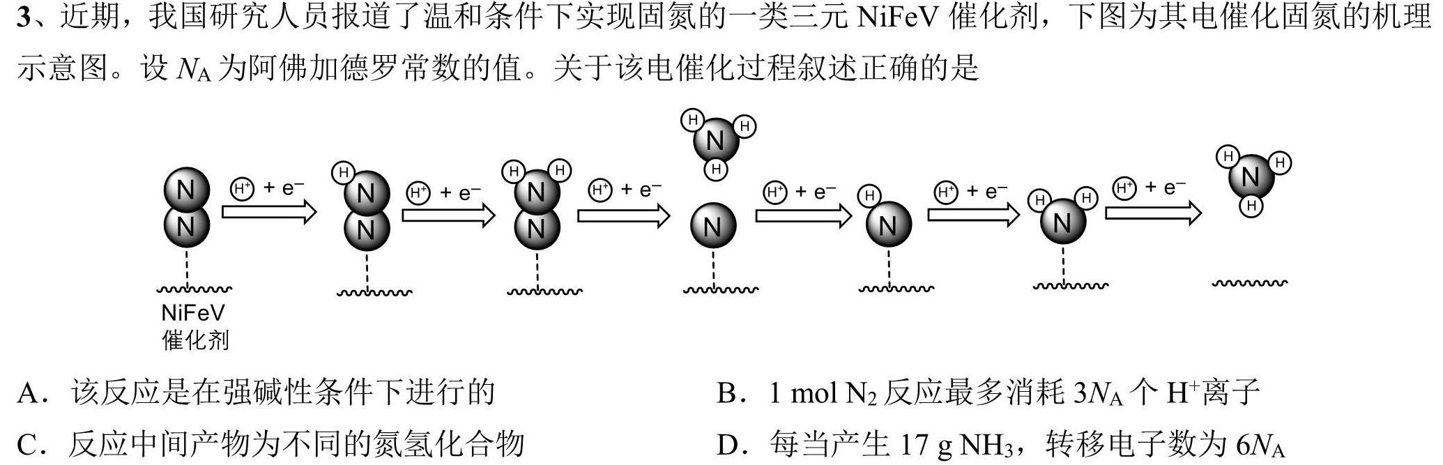 1九师联盟 2024届高三2月开学考(新教材-L)答案化学试卷答案