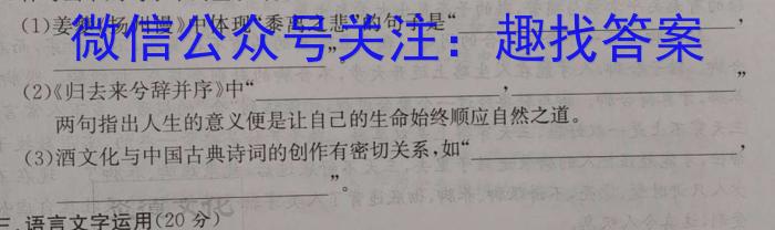 楚雄州中小学2022~2023学年上学期高二期末教育学业质量监测(23-212B)语文