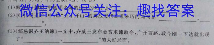 四川省大数据精准教学联盟2020级高三第二次统一监测语文