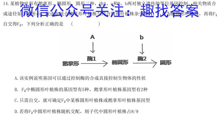 邕衡金卷广西2023届高三一轮复习诊断性联考(2月)生物