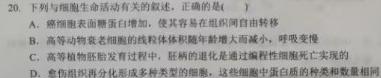 沧州市2022~2023学年度高一年级第一学期期末教学质量监测(231350D)生物