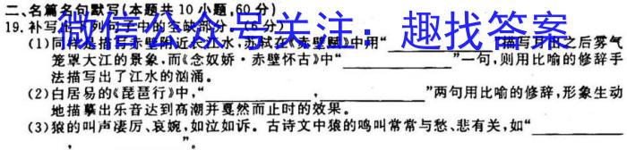商洛市2022~2023学年度高三第一学期教学质量监测(23-255C)语文