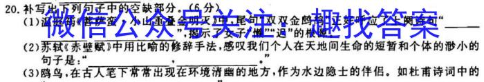 贵州省遵义市2022~2023学年上学期高一年级期末开学测试卷(23-316A)语文