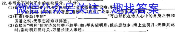 江西省2022-2023学年度九年级阶段性练习(五)5语文