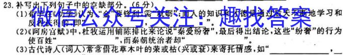 2023届江西省高三阶段性考试(23-303C)语文