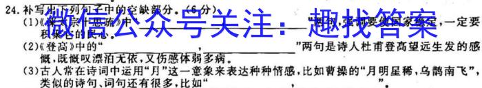 绵阳中学高2023届高三2月模拟检测试题语文