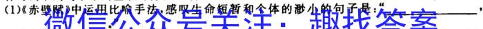 衡水金卷广东省2023届高三2月份大联考语文