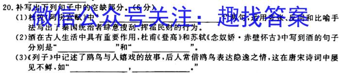 衡中同卷 2022-2023学年度上学期高三年级期末考试(新高考/新教材)语文