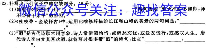 安徽普通高中学业水平合格性考试仿真模拟卷(232349D)语文