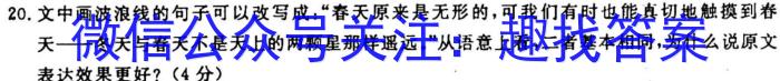 2023年湖北省稀归、长阳、当阳、三峡四县区域性高三开学联合考试语文