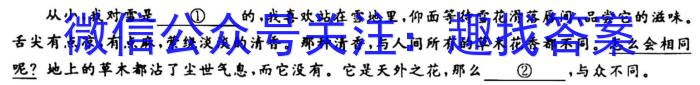 陕西省2022~2023学年度高一年级模拟检测考试(2月)语文