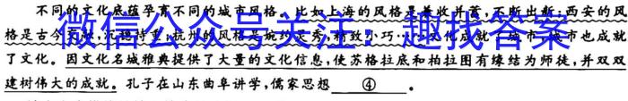 2023年普通高等学校招生全国统一考试名校联盟·模拟信息卷(六)6语文